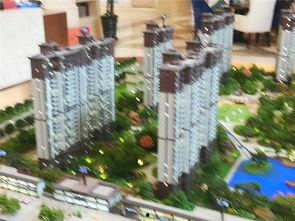 美庐天下城爆料视频最新,全新城市生活画卷即将展开